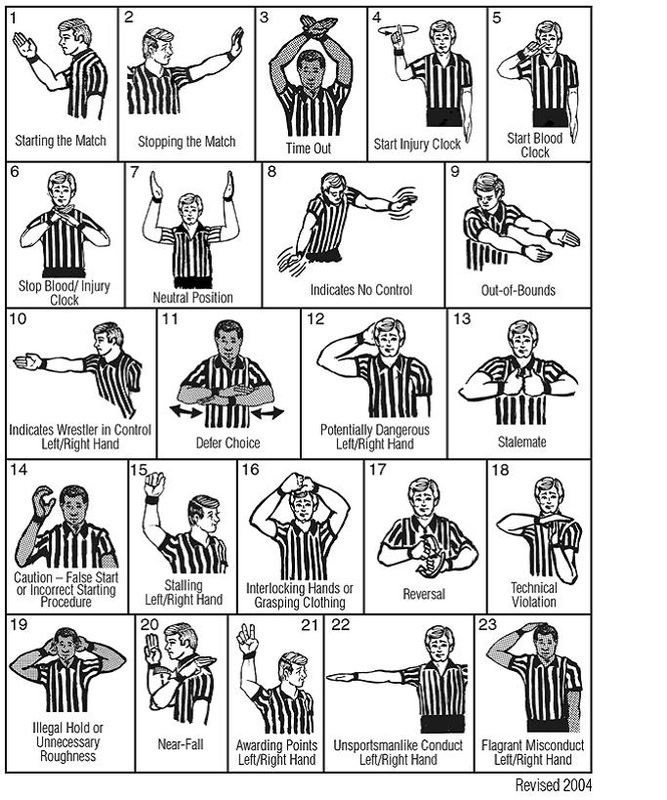 referee flag signals in volleyball